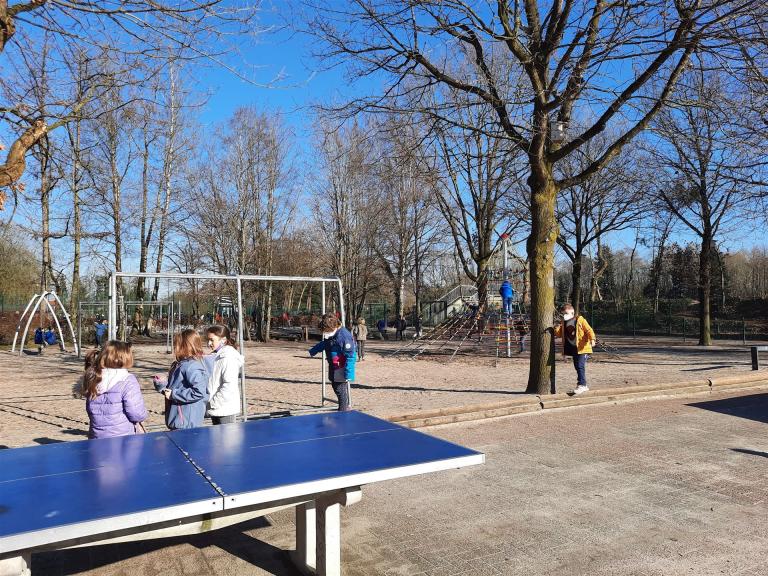 Tischtennisplatten, Schaukeln, Kletterspinne